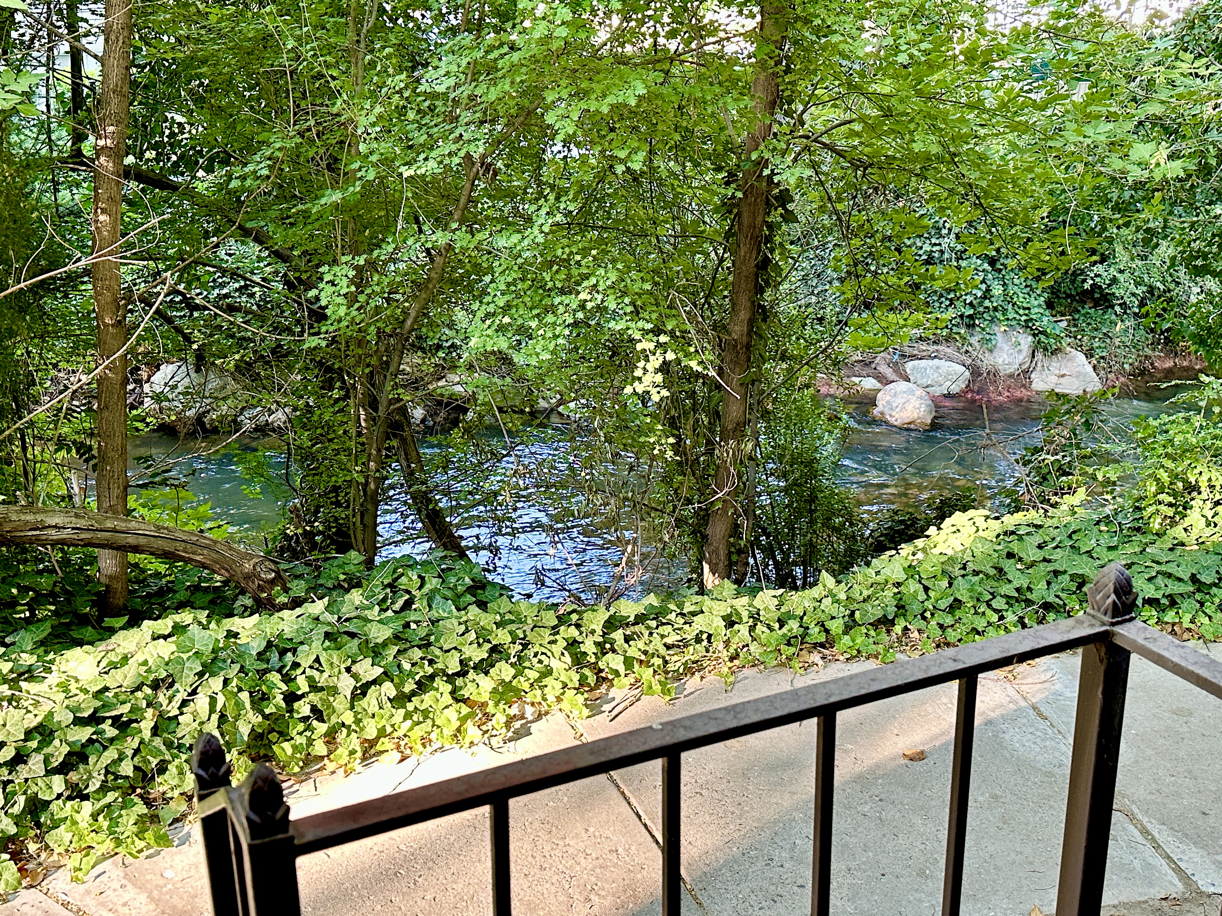 Scenic creek view from Brookside